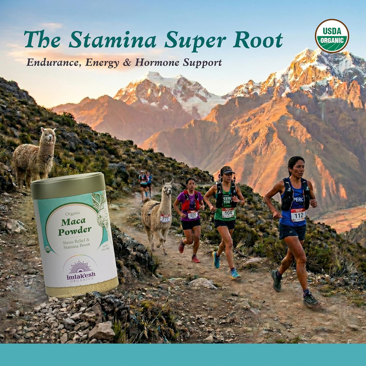 Imlak'esh Organics Maca Powder (10 oz Metal Jar) - görsel 3