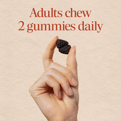 Nature's Way Brain Fuel Gummies – Cognitive Support with COGNIGRAPE and Vitamins B6 & B12 (60 Gummies)