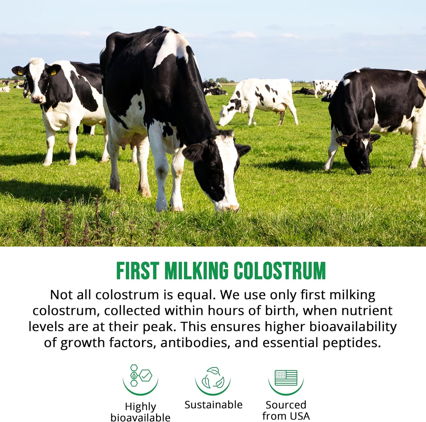 Bovine Colostrum Supplement - 30% IgG - Gut Health, Immune Support & Muscle Recovery - 60 Capsules - görsel 3