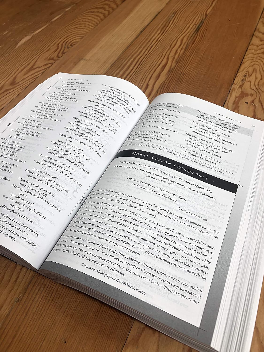 NIV, Celebrate Recovery Study Bible - görsel 6