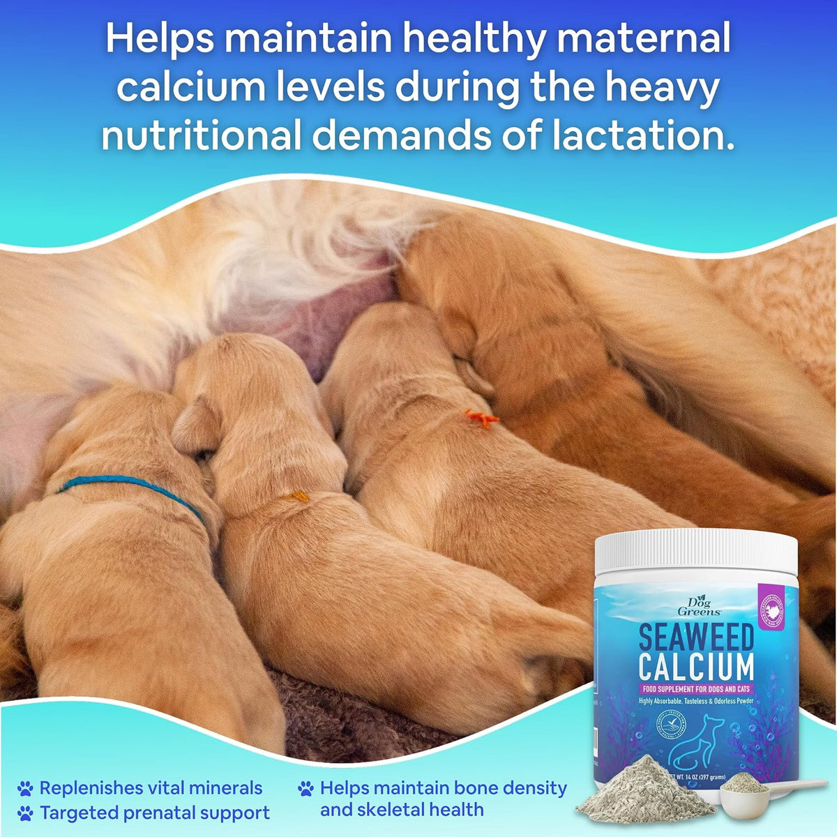 Seaweed Calcium Supplement for Dogs & Cats - 397 g (3-Pack) - Dog Greens - görsel 4