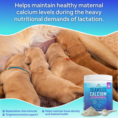 Dog Greens Seaweed Calcium Mineral Supplement for Dogs and Cats (14 oz, 4-Pack)