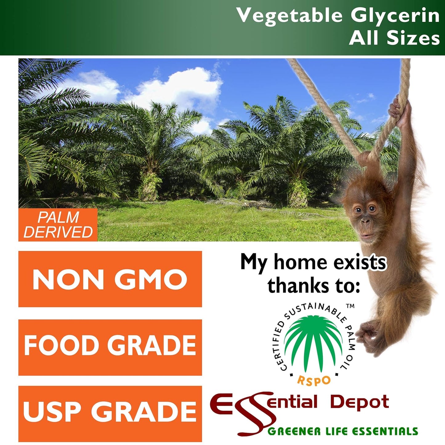 Vegetable Glycerin – 1 US Pint (473 ml) – RSPO Sustainable Palm, Non-GMO, Kosher, Pharmaceutical Grade - görsel 2