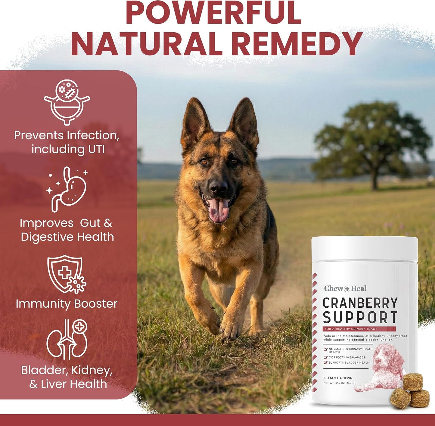 Chew + Heal Labs Cranberry Supplement for Dogs – Urinary Support, 120 Soft Chews - görsel 3