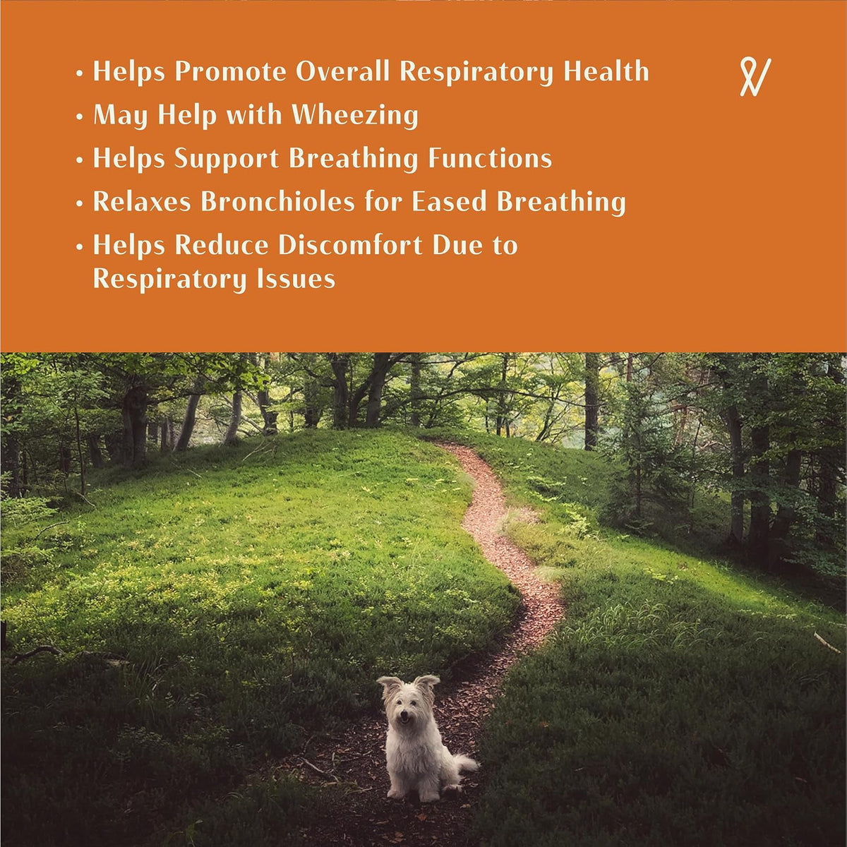 Everpath Respiratory Support for Dogs & Cats – 60 ml Triple-Strength Herbal Tincture - görsel 4