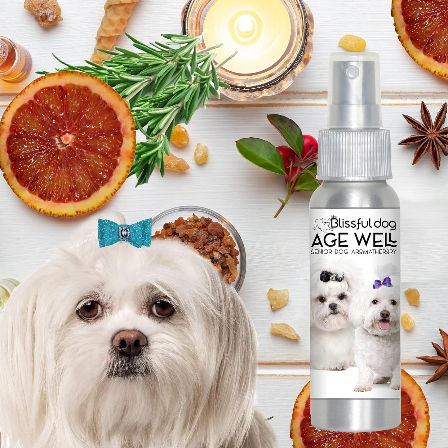 The Blissful Dog Maltese Age Well Spray Aromatherapy - görsel 7