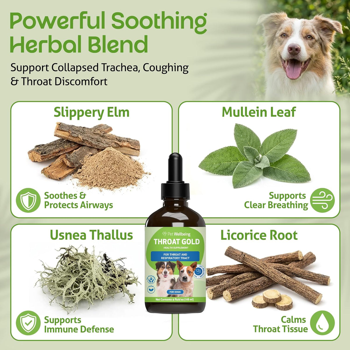 Pet Wellbeing Throat Gold for Dogs - Herbal Throat & Respiratory Support Liquid (118 ml) - görsel 3