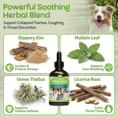 Pet Wellbeing Throat Gold for Dogs - Herbal Throat & Respiratory Support Liquid (118 ml)
