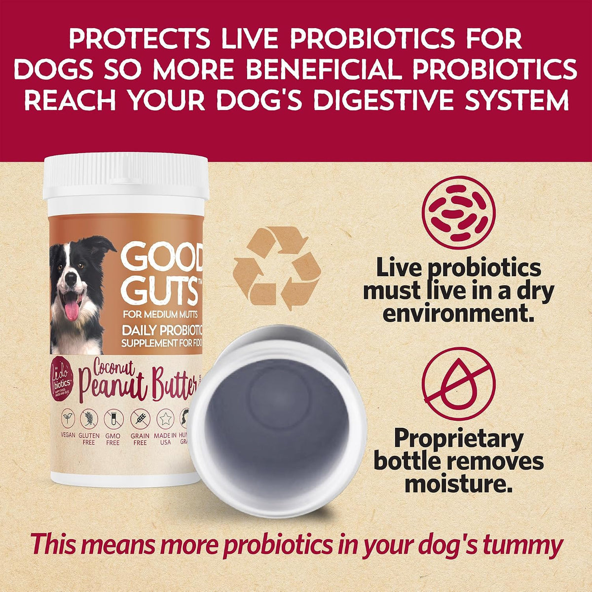 Fidobiotics Good Guts Probiotics for Dogs – Digestive Health Powder, 6 Billion CFU - görsel 6