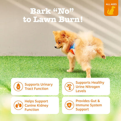 Zesty Paws Stay Green Bites for Dogs – Grass Burn Soft Chews with Cranberry and Probiotics, Chicken Flavour, 90 Count