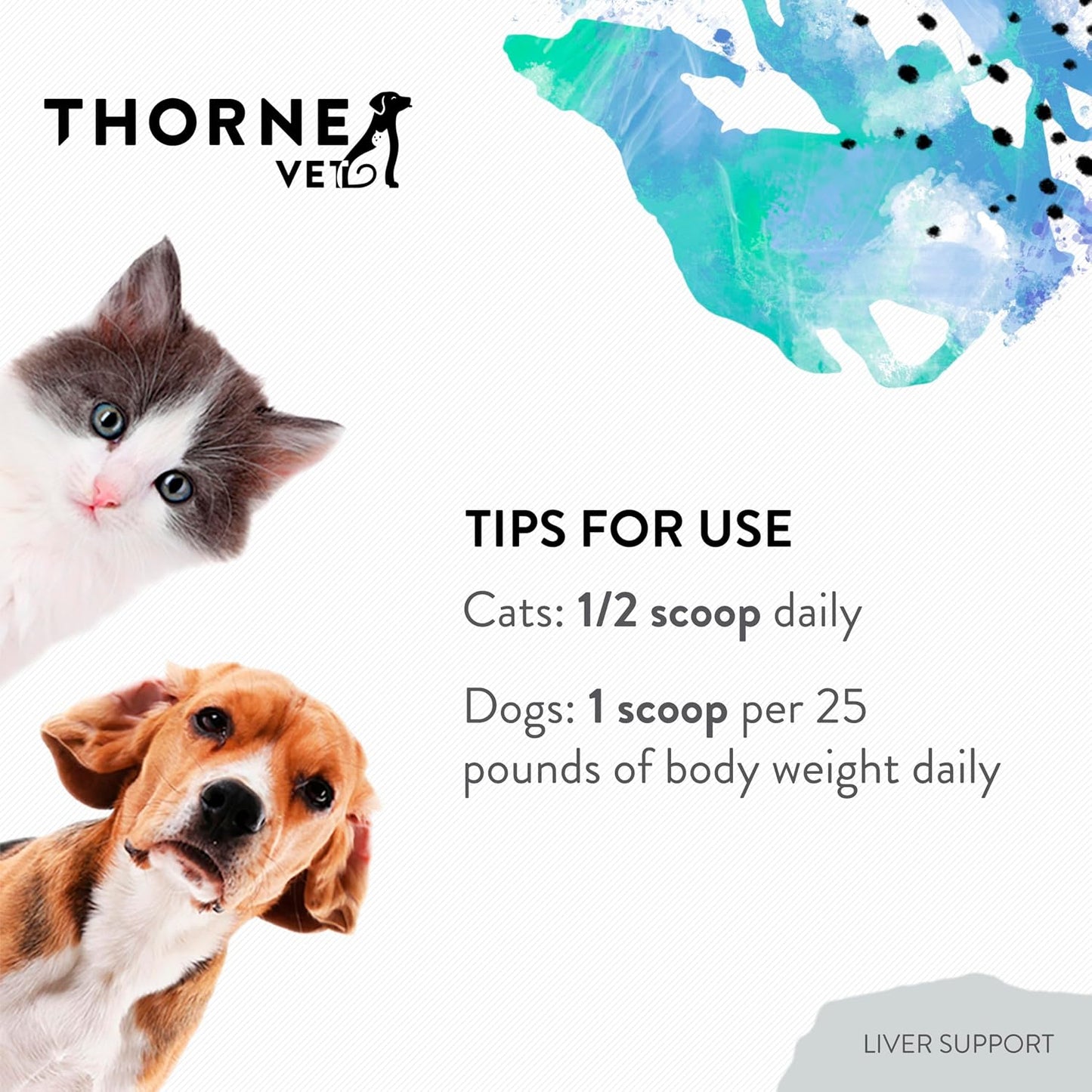 ThorneVET Liver Support Powder – Liver Support for Small Animals: Dogs & Cats, 90 Scoops - görsel 6