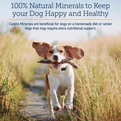 Rx Vitamins Canine Minerals - Essential Mineral Supplement for Dogs (454g)