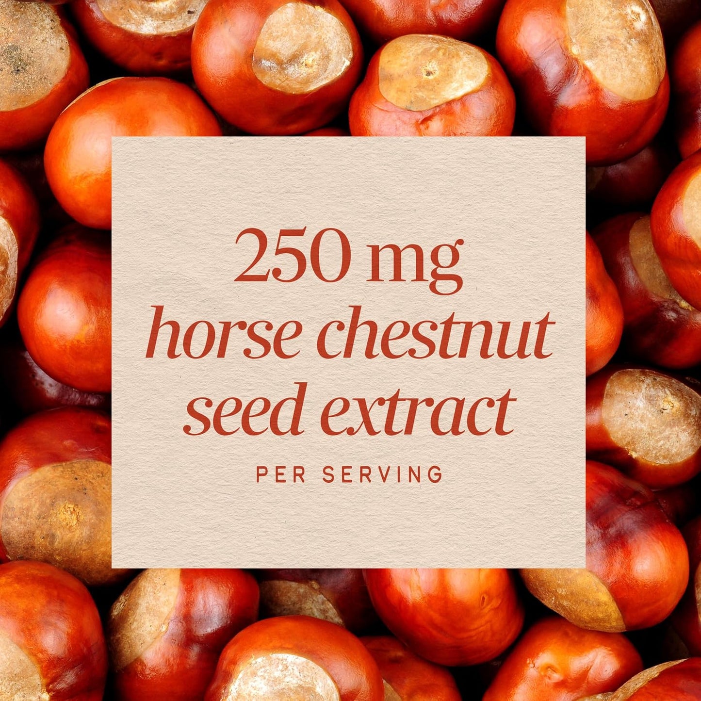 Nature's Way Horse Chestnut Extract – Premium Extract, Traditional Support for Leg Veins, Standardised to 20% Aescin, 90 Capsules - görsel 4