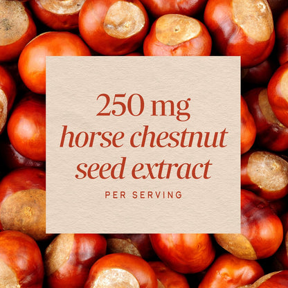 Nature's Way Horse Chestnut Extract – Premium Extract, Traditional Support for Leg Veins, Standardised to 20% Aescin, 90 Capsules