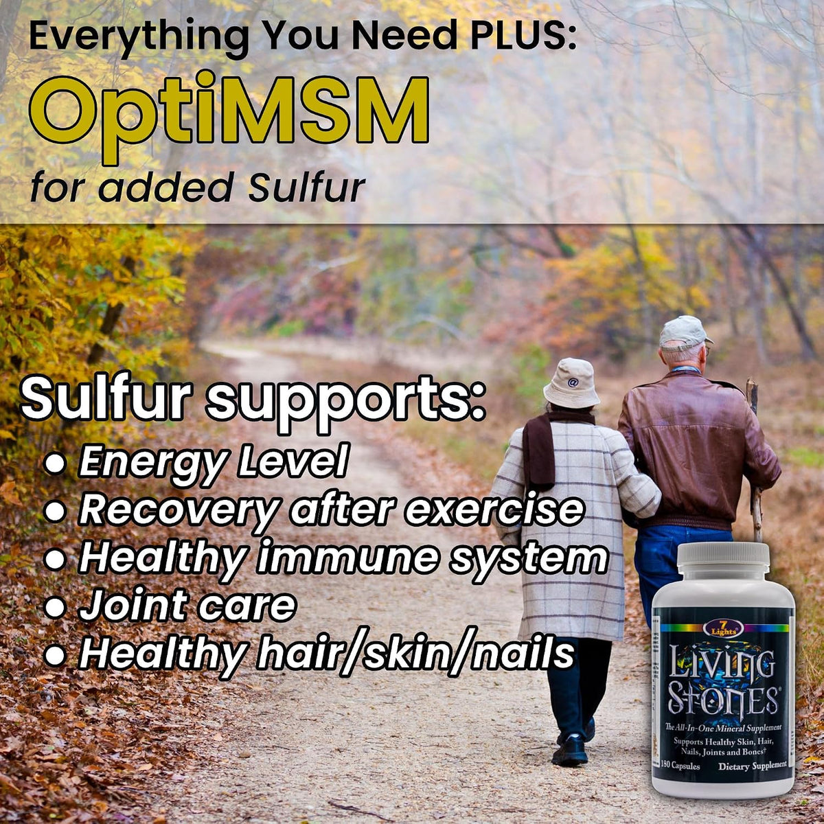 Living Stones Complete Mineral Supplement – with MSM and Shilajit, No Added Iron (180 Capsules) - görsel 4