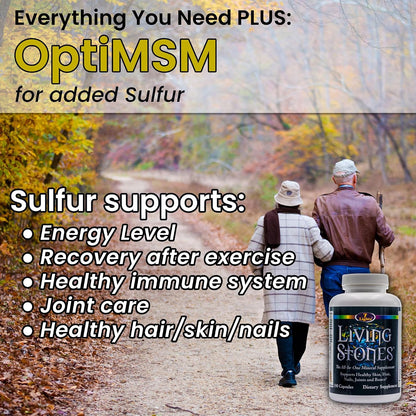 Living Stones Complete Mineral Supplement – with MSM and Shilajit, No Added Iron (180 Capsules)