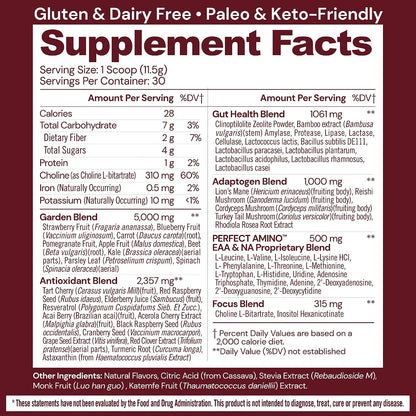 BodyHealth Reds Enhanced with PerfectAmino – Daily Superfood Smoothie Powder, 30 Servings
