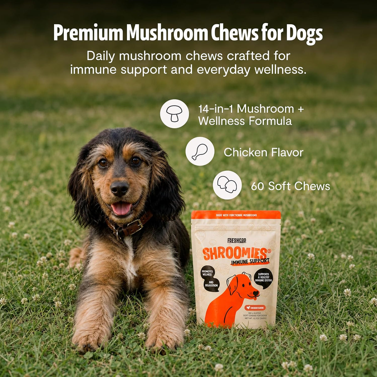 FreshCap Shroomies 13-in-1 Mushroom Supplement for Dogs (180 Soft Chews) - görsel 3