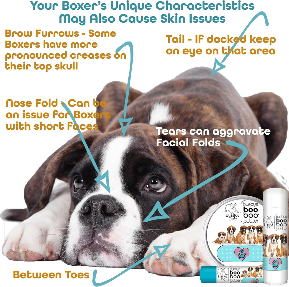 The Blissful Dog Boxer Booboo Butter - 4 oz Tin - görsel 6