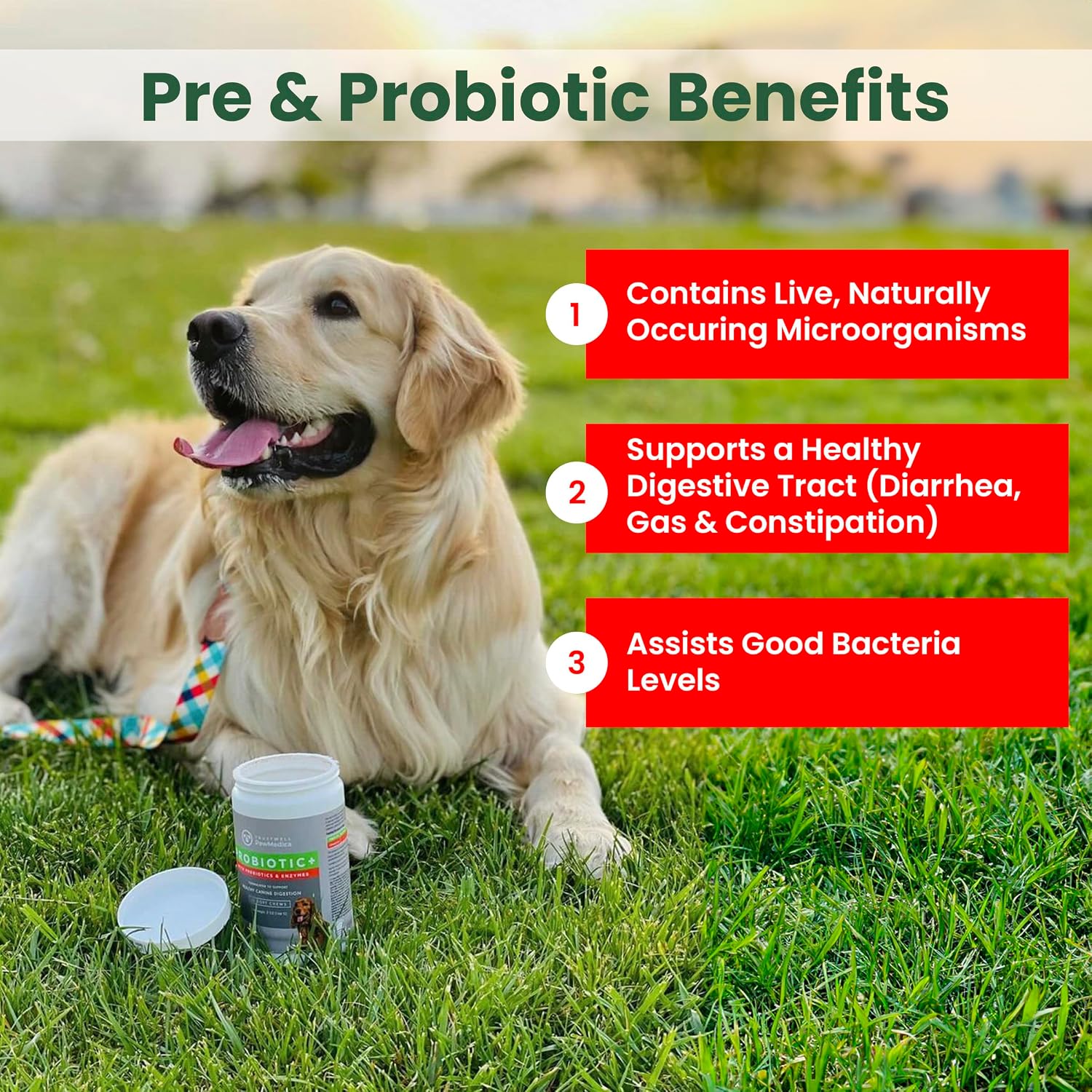 PawMedica Dog Probiotics and Digestive Enzymes, Probiotics for Dogs Made in USA, Pet Probiotic Chews for Dogs, Prebiotics & Probiotic Dog Digestive Support, Probiotic Treats - 120 Dog Probiotic Chews - görsel 2