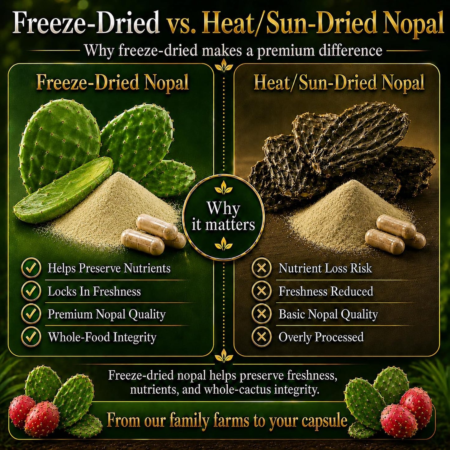 Premium Freeze-Dried Nopal Cactus Capsules – 500 mg, 120 Vegan Capsules - görsel 6