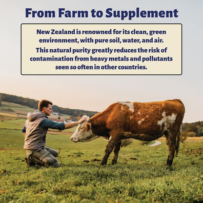 Holy Cow Health Colostrum Capsules – Pure, Undiluted, Highly Bioactive – for Gut and Immune Support