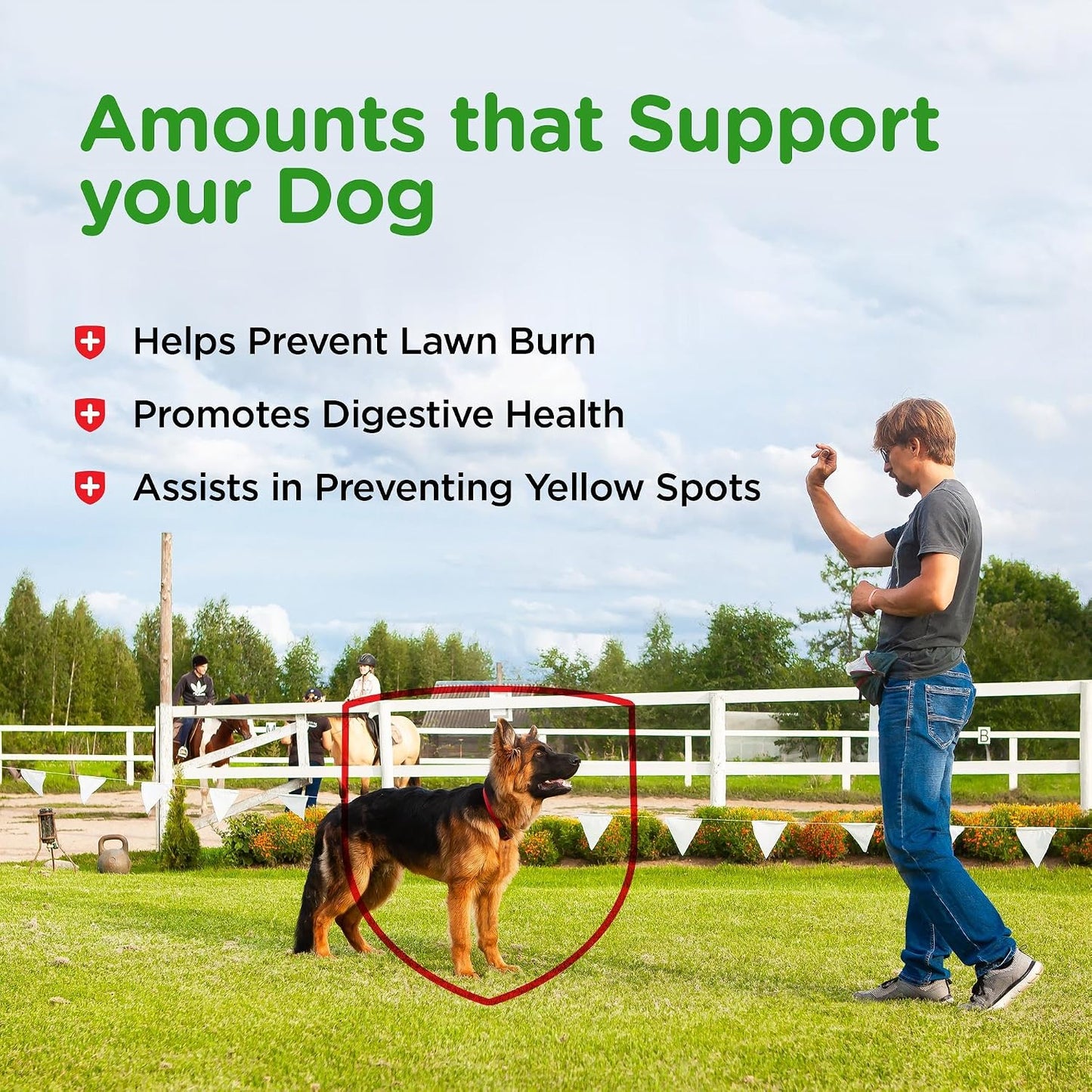Nutri-Vet Grass Guard Chewables for Dogs (365 Chewable Tablets) - görsel 5