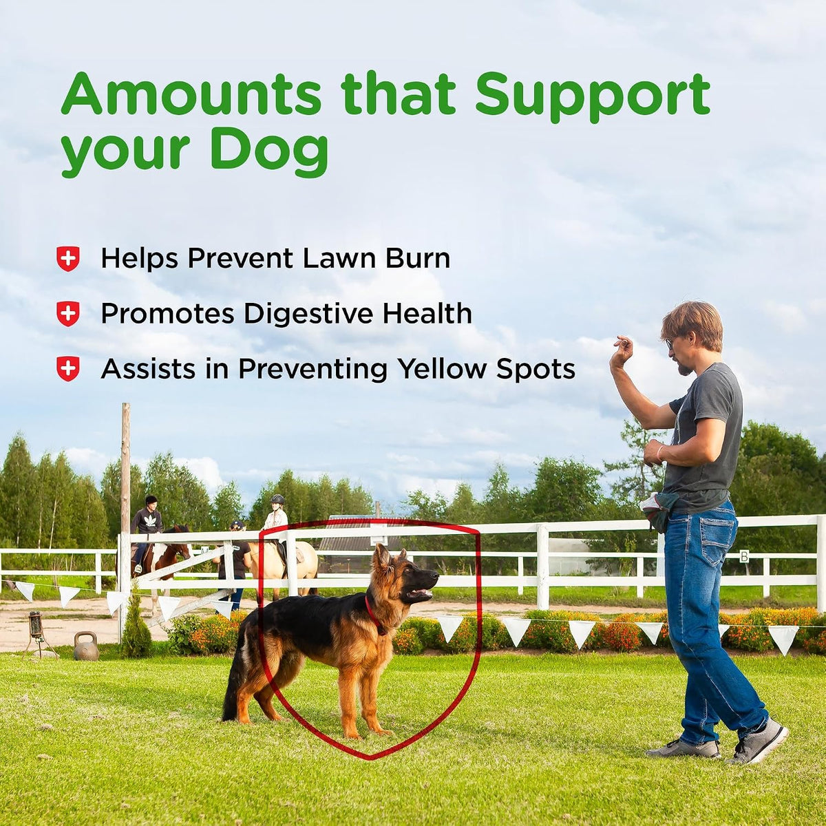 Nutri-Vet Grass Guard Chewables for Dogs (365 Chewable Tablets) - görsel 5