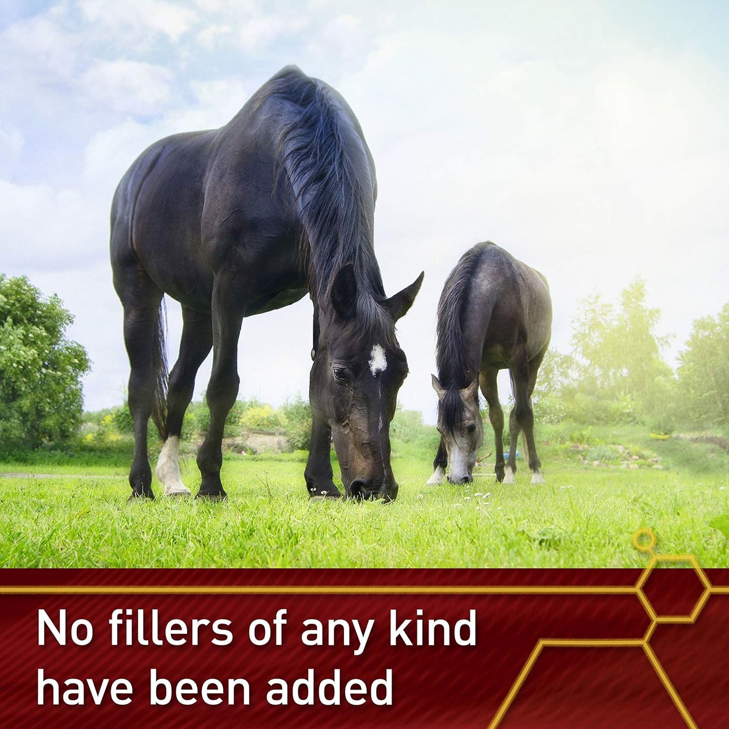 Vita Flex Pro Pure C Antioxidant – Premium Horse Vitamin C Supplement, 2 lb - görsel 6