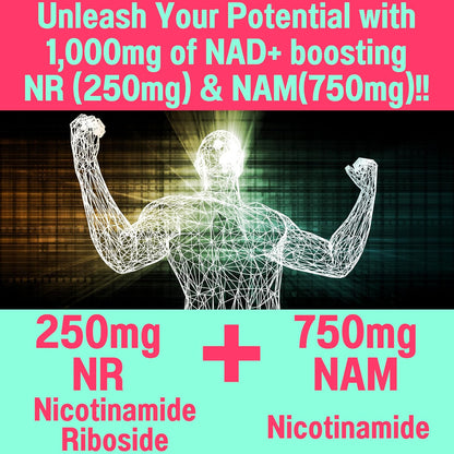 SHIZAM Nicotinamide Riboside NR NAM Resveratrol Gummies - 1000mg NAD+ Boosting Formula (60 Count)
