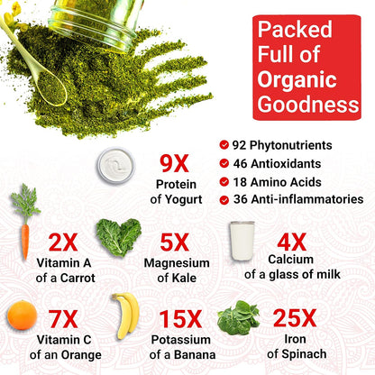 Organic Moringa Capsules | True Veda | 10:1 Leaf Extract | 60 Vegan Capsules