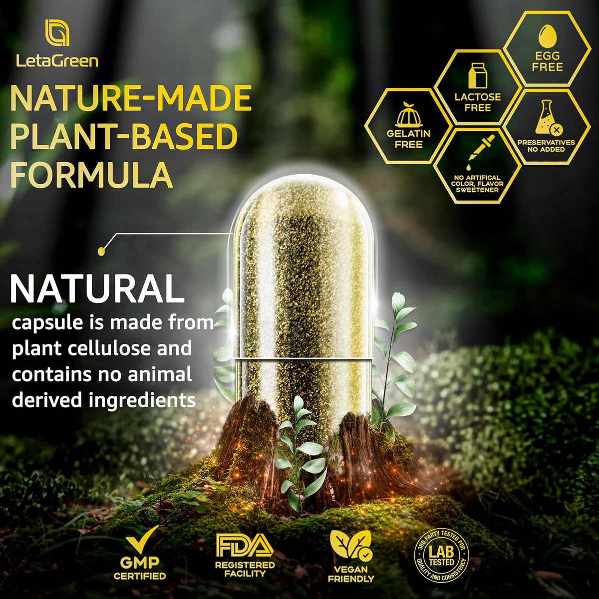 Sea Moss Capsules – 17-in-1 Blend with Black Seed Oil, Ashwagandha, Bladderwrack, Burdock Root, Turmeric, Vitamin D3 K2 C for Daily Health – Multimineral Supplement for Men & Women – 120 Capsules - görsel 7
