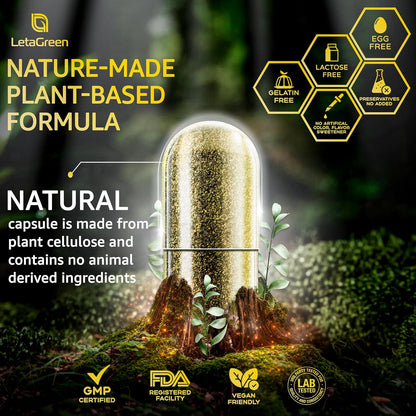 Sea Moss Capsules – 17-in-1 Blend with Black Seed Oil, Ashwagandha, Bladderwrack, Burdock Root, Turmeric, Vitamin D3 K2 C for Daily Health – Multimineral Supplement for Men & Women – 120 Capsules