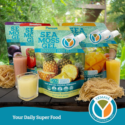 Yemayá Organic Sea Moss Gel - Wildcrafted, Raw, with Real Fruit - 473 ml