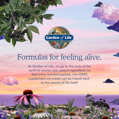 Garden of Life Vitamin Code Raw B-12 - 1000mcg Methylcobalamin - 30 Capsules