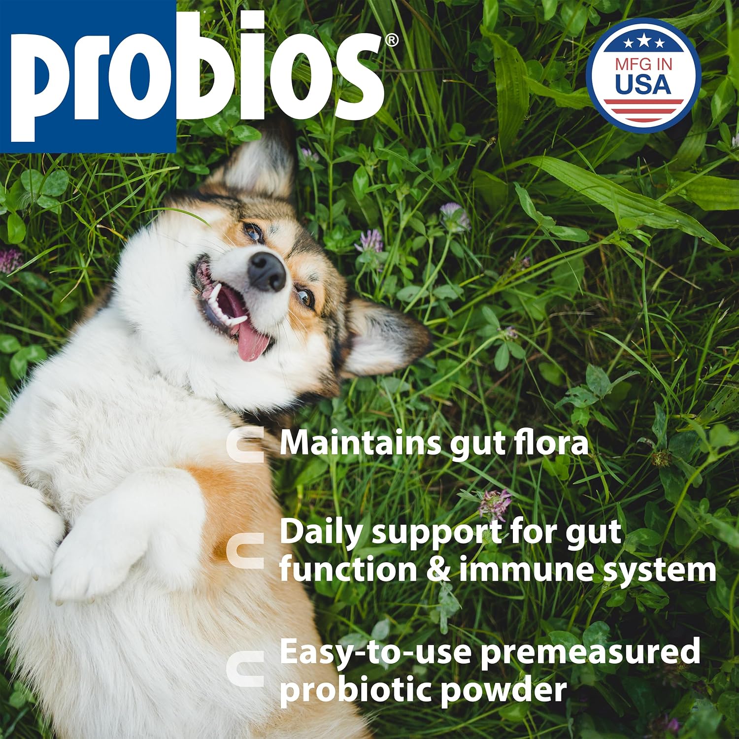 Probios Intelliflora Daily Probiotic Powder for Dogs – 200 Million CFU, Prebiotics, Chicken Liver, 30 Sachets - görsel 2