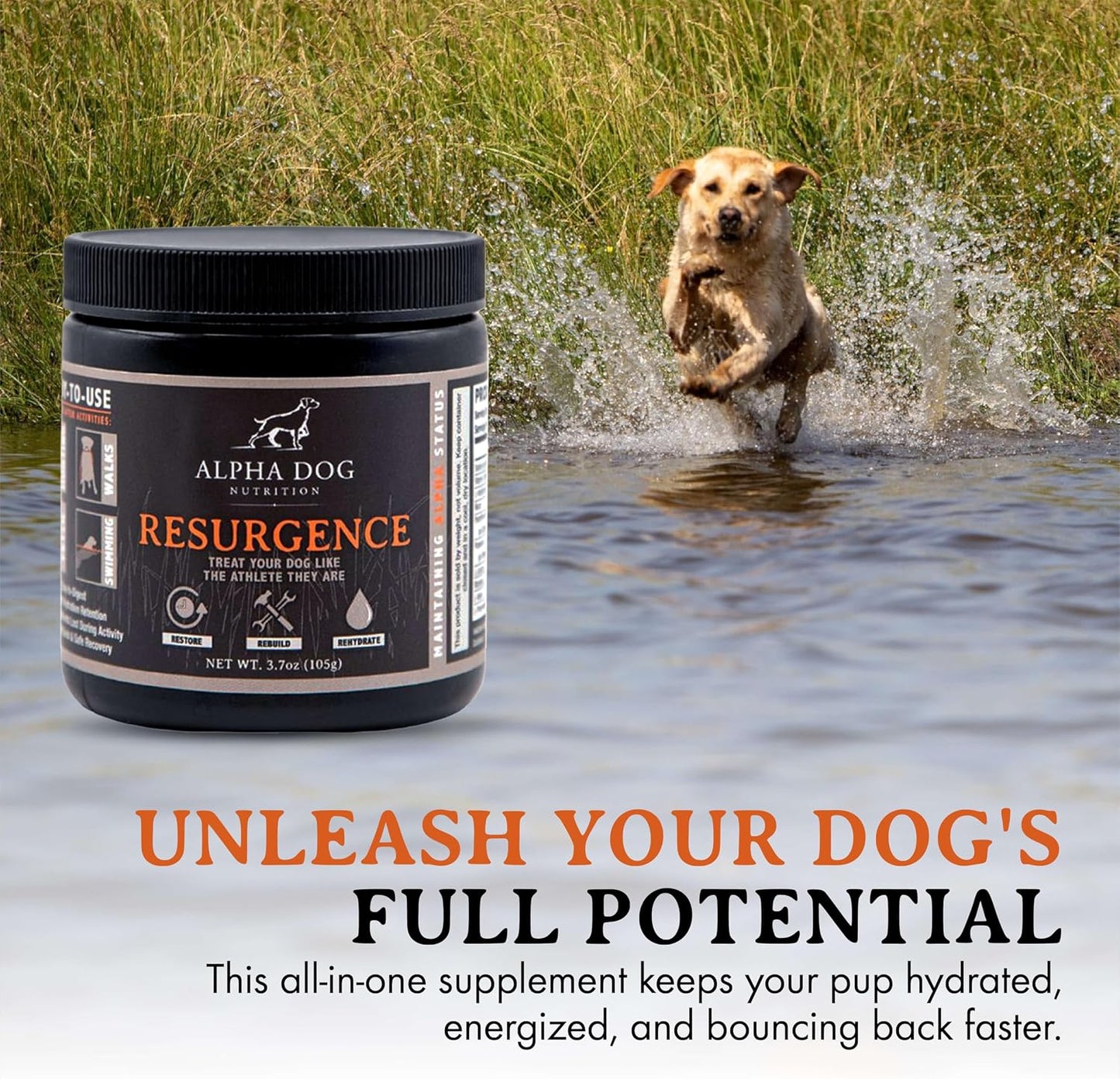 Alpha Dog Nutrition Electrolytes for Dogs - PhD Formulated Hydration Supplement with Beef Flavour for Active Canines - görsel 6