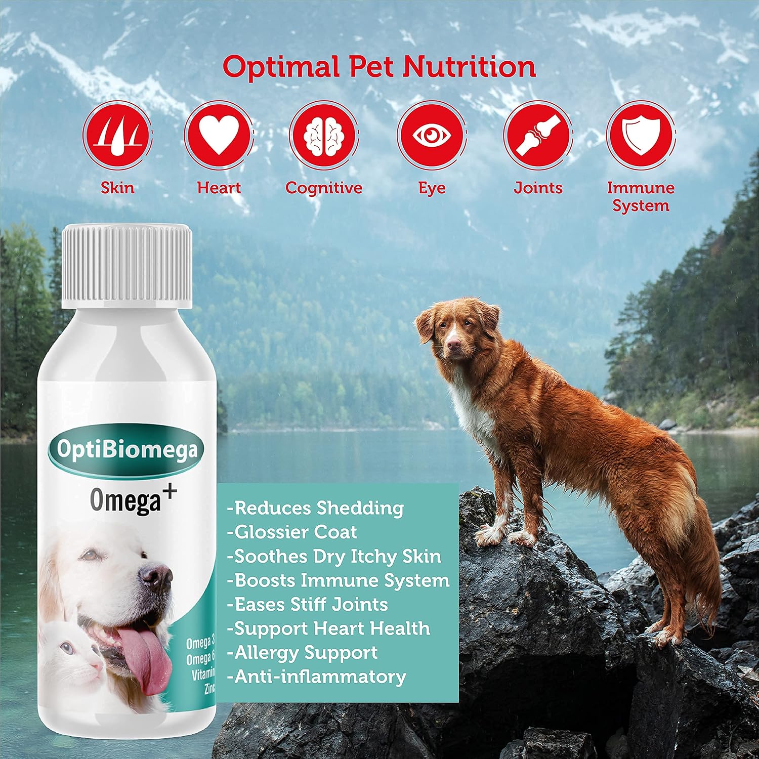 OptiBiomega Fish Oil for Dogs & Cats - Omega 3 & 6 with Zinc, 100 ml - görsel 3