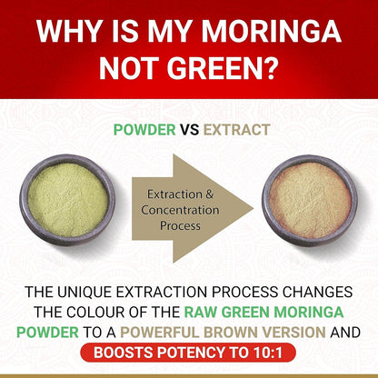 Organic Moringa Capsules | True Veda | 10:1 Leaf Extract | 60 Vegan Capsules