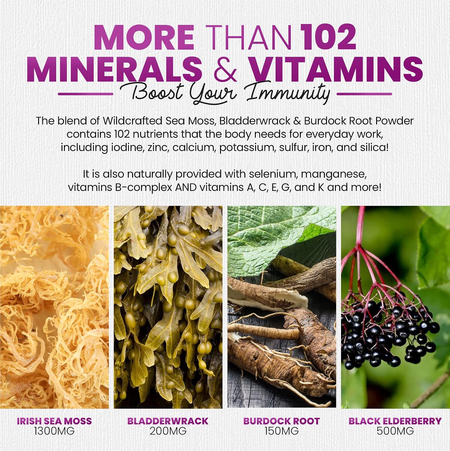 Irish Seamoss Gummies with Elderberry & Black Seed Oil, Bladderwrack - Raspberry, 60 Gummies - görsel 5