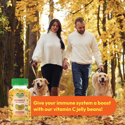 Human Beanz Vitamin C Jelly Bean Gummies for Adults, Immune Support Food Supplements, Vegetarian, 120 Citrus Blast Jelly Beans, Kosher