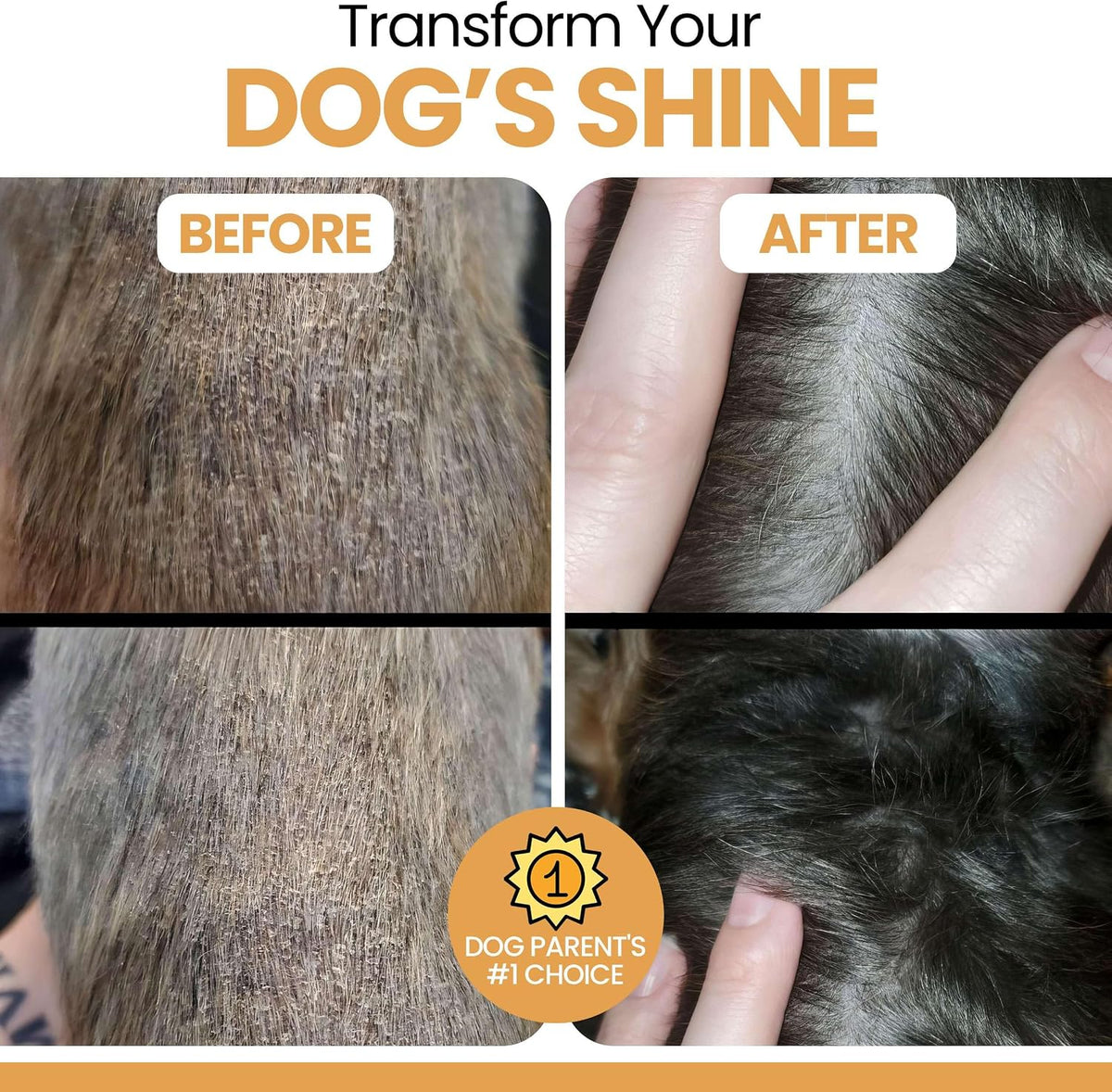 Salmon Oil for Dogs - Premium Fish Oil for Skin and Coat Health - Omega-3 Supplement - 8 oz Liquid - görsel 4