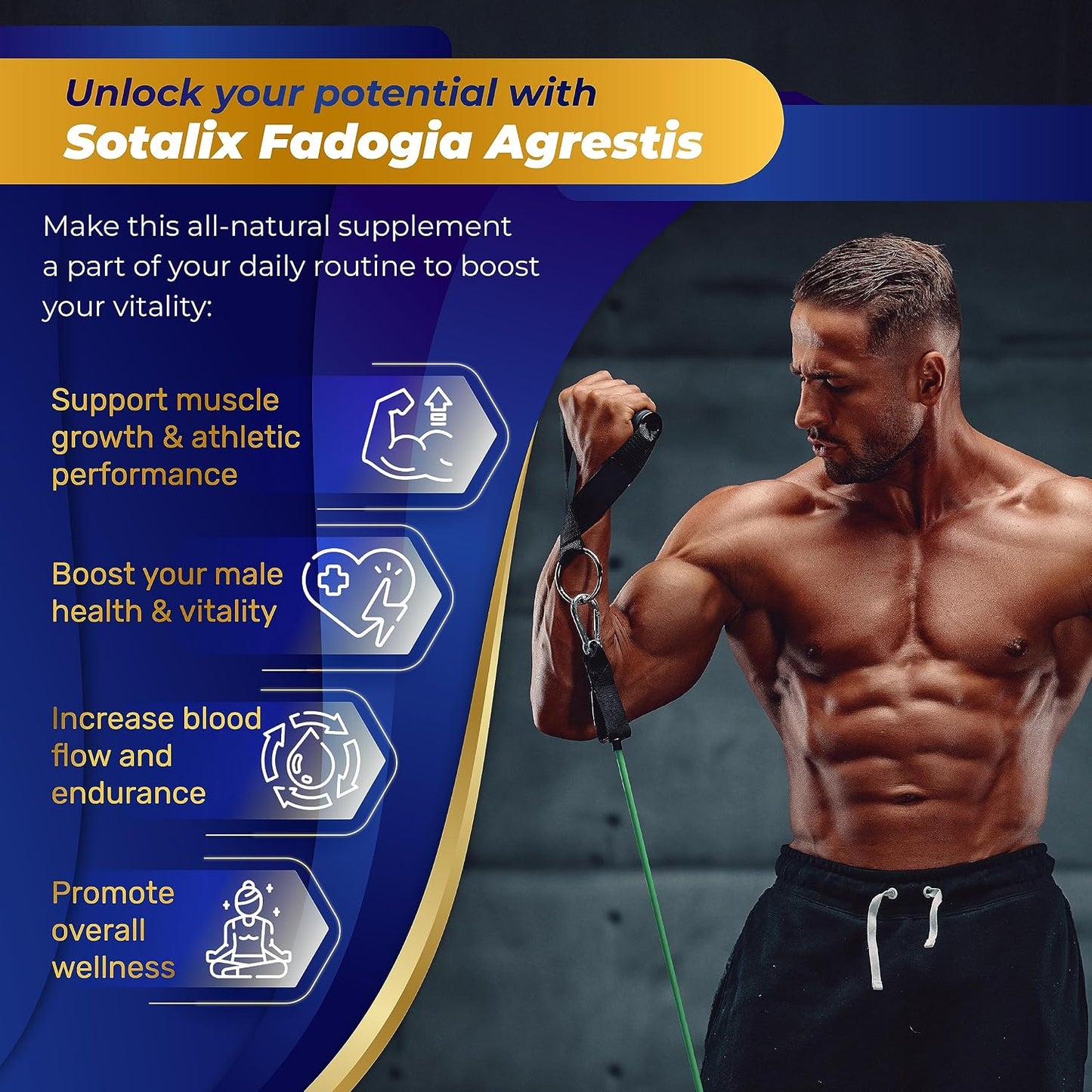 High Strength Fadogia Agrestis Capsules – Concentrated Herbal Blend with Maca Root, Tongkat Ali and More - görsel 4