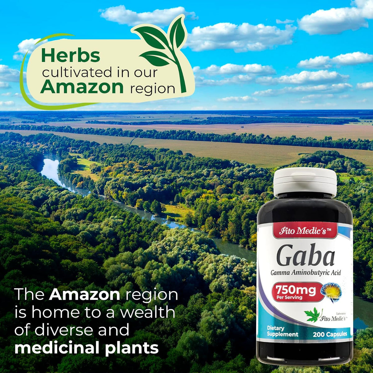 Lab GABA Capsules – 200 Capsules – 750 mg GABA per Serving - görsel 3