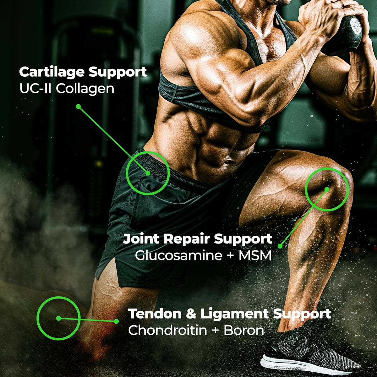 Species Nutrition Arthrolyze Elite Joint Repair Supplement – UC-II Collagen, Glucosamine, MSM, Chondroitin (300 Capsules) - görsel 4