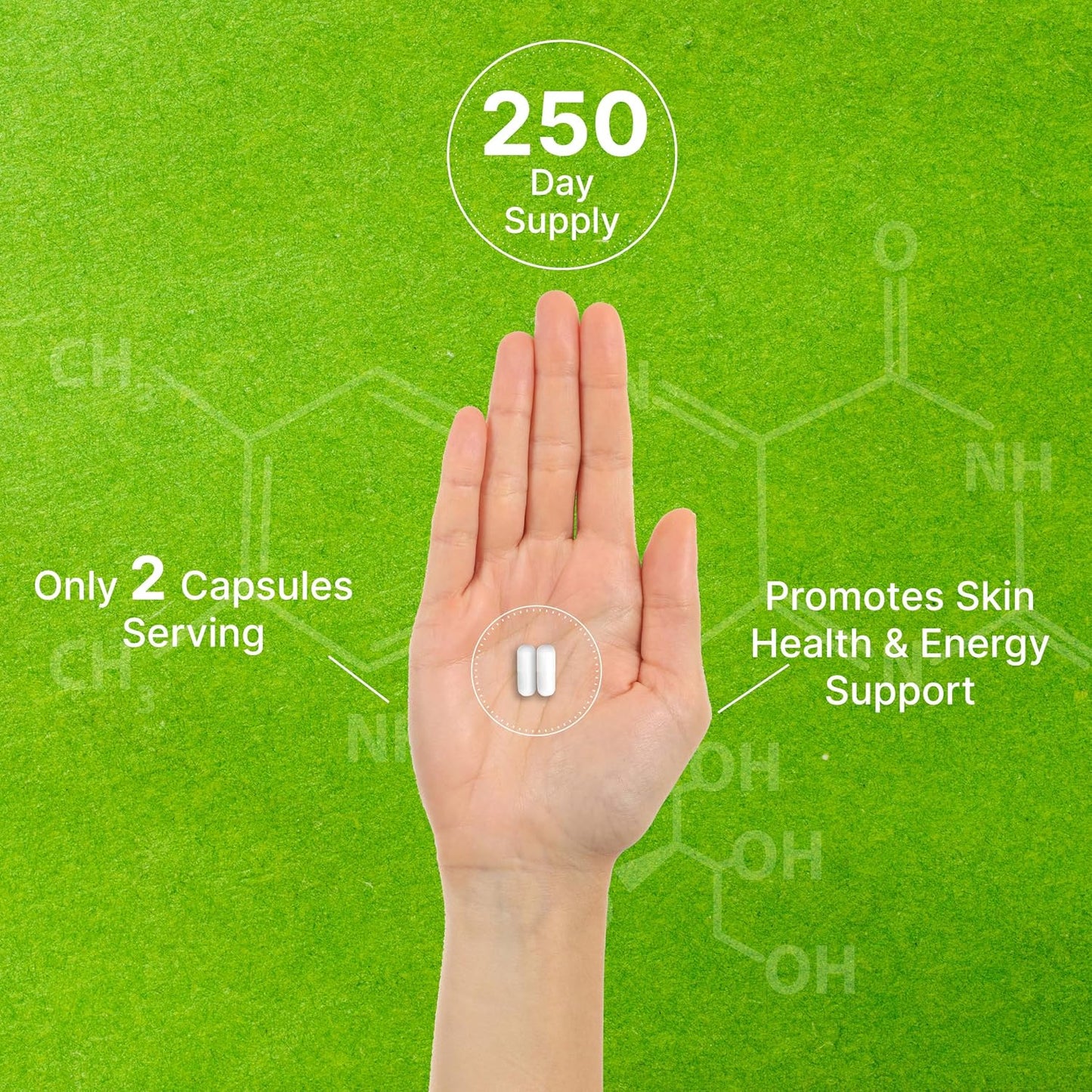 Vitamin B3 Nicotinamide 1,000mg – 500 Capsules – Flush Free Niacin Supplement - görsel 5