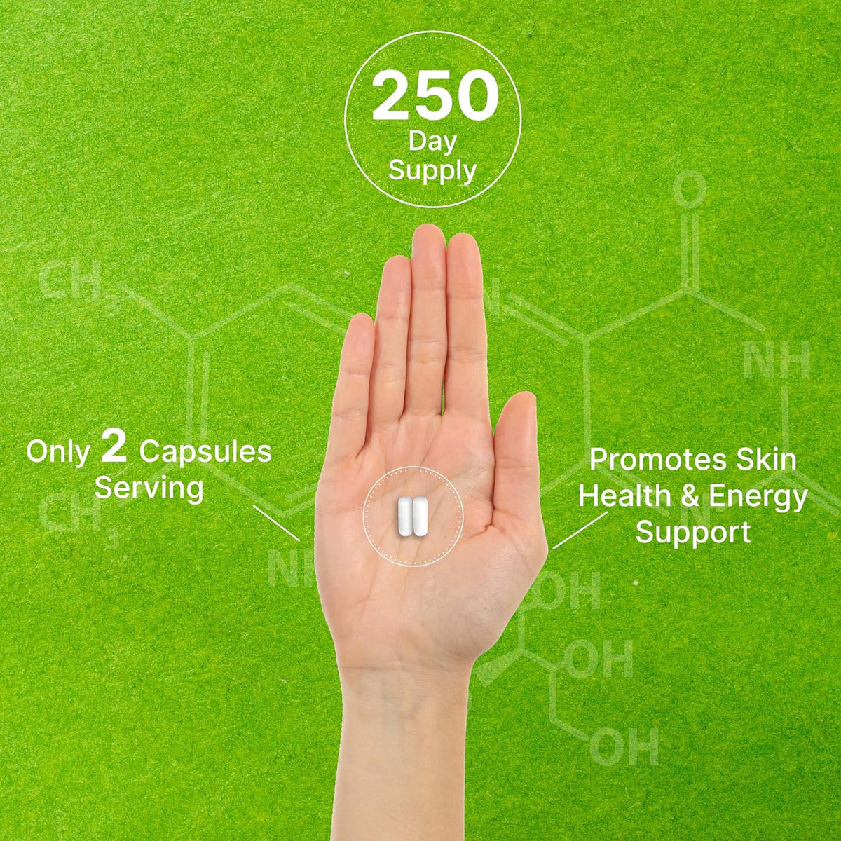 Vitamin B3 Nicotinamide 1,000mg – 500 Capsules – Flush Free Niacin Supplement - görsel 5