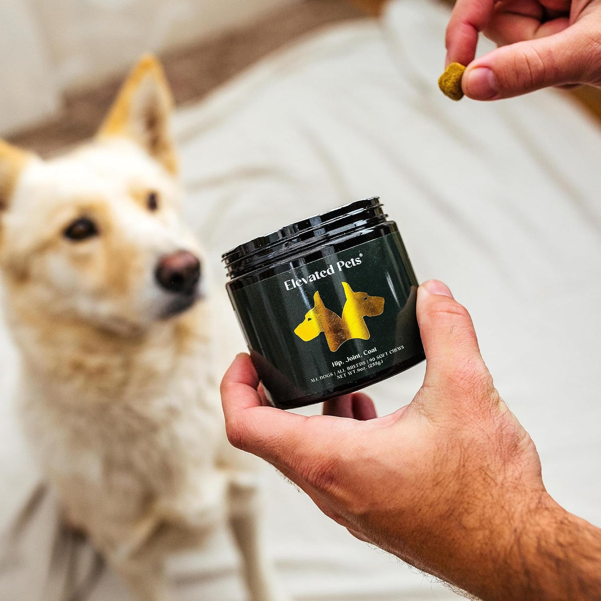Elevated Pets Ultra-Healthy Omega-3 Fish Oil Chews for Dogs - Joint, Skin & Coat Support with Glucosamine, MSM, Turmeric - görsel 5