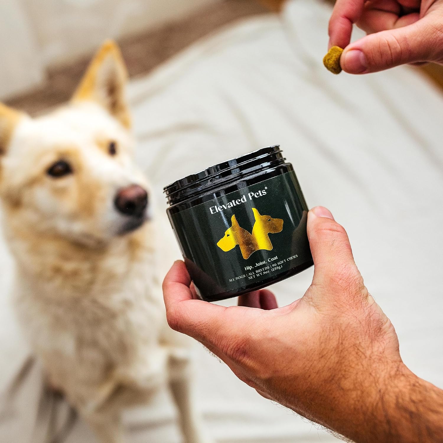 Elevated Pets Ultra-Healthy Omega-3 Fish Oil Chews for Dogs - Joint, Skin & Coat Support with Glucosamine, MSM, Turmeric - görsel 5