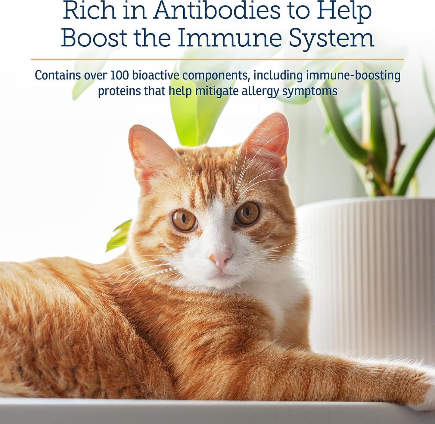 Rx Vitamins Colostrum for Dogs & Cats - Whole Bovine Colostrum Powder - Immune & Digestive Health - 100 g - görsel 4